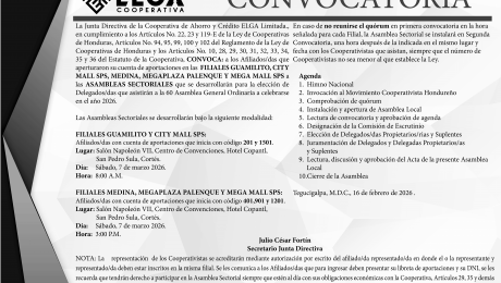 Convocatoria Guamilito, Medina, Palenque, Mega Mall