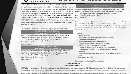 Convocatoria VILLA SAN MIGUEL, PLAZA MIRAFLORES, PREMIER, CASCADAS, KENNEDY, NOVACENTRO