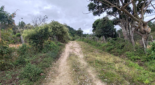 Terreno Agua Buena, San Antonio de Oriente