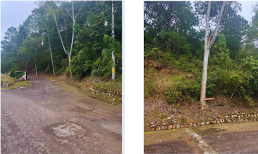 Terreno en Residencial Villa Elena, Distrito Central